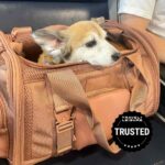 tal-dagne-dover-kyoto-pet-carrier-anna-popp-07-1-e5a04e31430b40b9ad49874d0df952d9